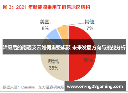 降级后的南通支云如何重整旗鼓 未来发展方向与挑战分析