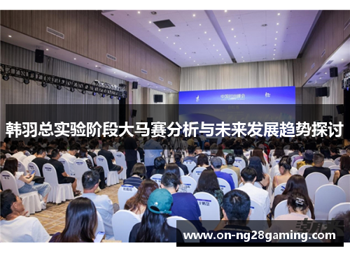韩羽总实验阶段大马赛分析与未来发展趋势探讨