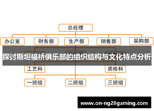 探讨斯坦福桥俱乐部的组织结构与文化特点分析
