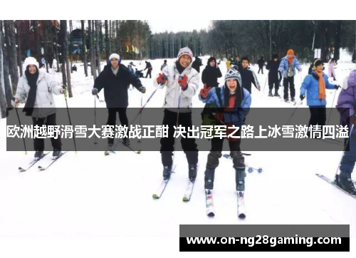 欧洲越野滑雪大赛激战正酣 决出冠军之路上冰雪激情四溢 欧洲越野滑雪大赛激战正酣 决出冠军之路上冰雪激情四溢